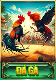 ĐÁ GÀ